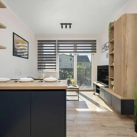 Modern With Parking And Balcony By Renters * Sosnowiec